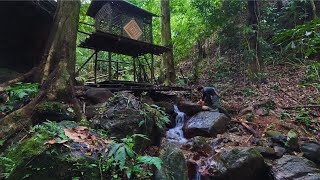 Solo Survival: 30 days to build a 2-story bamboo house. Hunting and gathering in the forest - P.2