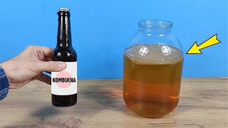 ¡Cómo CULTIVAR un HONGO de TÉ a partir de KOMBUCHA comprada en una tienda!