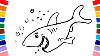 How to draw and paint a shark / Real drawing