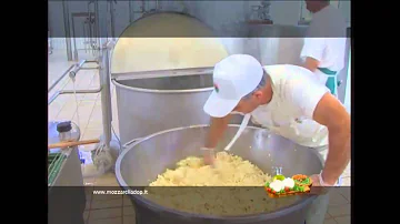 Cosa significa mozzarella di bufala dop?