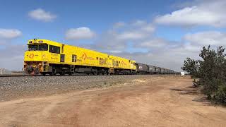 IMG 9552 P2515/ P2503 3G32 empty grain to Mullewa CBH.  Seen Northern Gully 14/11/23. P Melling