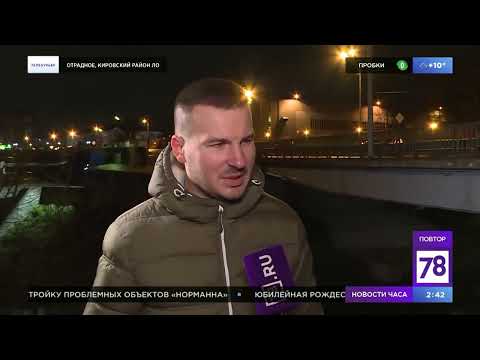 В реку Святка в Отрадном массово сливается канализация