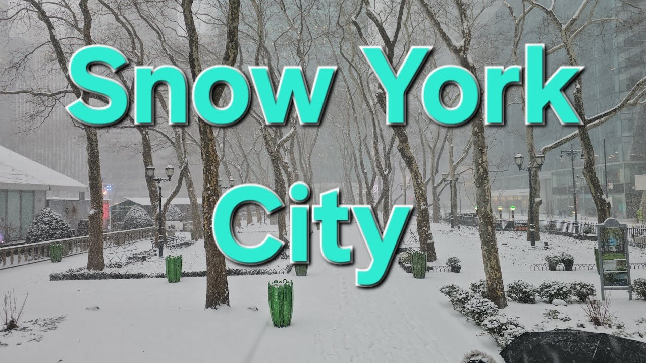 Walk from work in the Snow