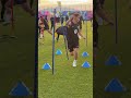 Who Won Fcbarcelona Football Shorts