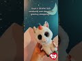 Beanie Boos: How it started vs. how it
