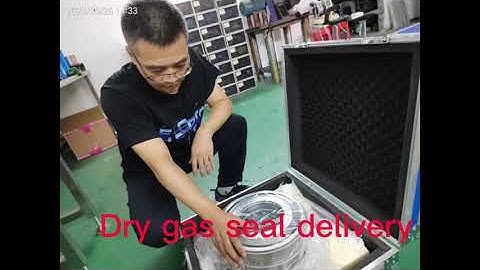 TANDEM Dry Gas Seal LP- 28