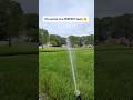 Stop feeding your lawn by hand! Try this automated hack instead. 🤯
