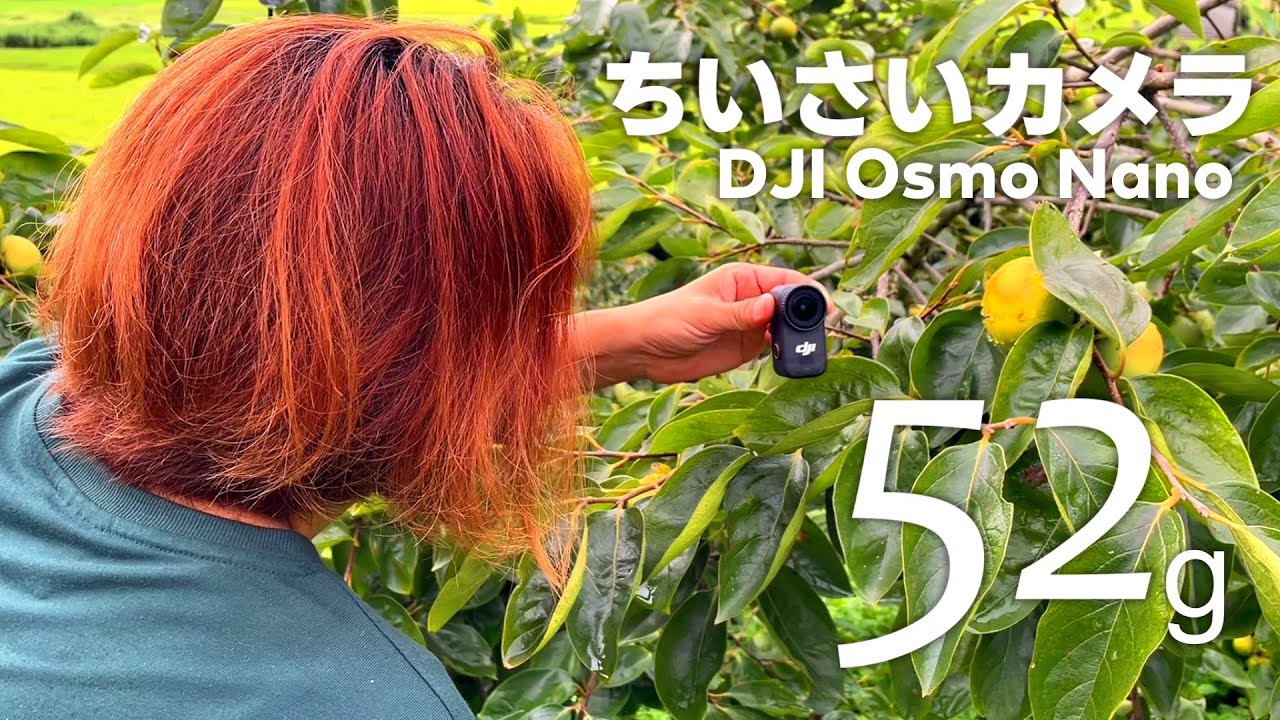 [DJI OSMO NANO] Всего 52 г! Что вы думаете о этой новейшей компактной камере?