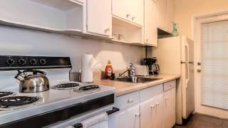 Great Apartment for a couple in Fort Lauderdale 01-1040
