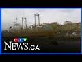 45 years since cargo tanker landed on Saint John beach