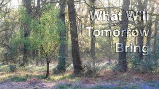 what will tomorrow bring - Landscape photography - Listen to the Trees