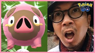 【ポケモンGO】ふんがっ！？色違いグルトンを捕獲せよ！近年稀に見る大量発生を見逃すな！突如復活した「おうごんルアー」に『特殊な仕様』があるのかを確かめるべく大調査スペシャル！【パルデアの冒険】