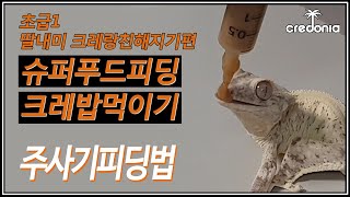 크레를 사랑하게될? 딸과함께 크레 핸드피딩