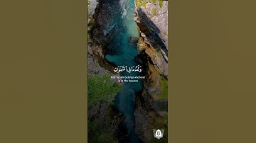 #تلاوة من #سورة_النحل بصوت #عبدالرحمن_مسعد #قرآن #قرآن_كريم #آيات #استغفرالله #الحمدلله #quran