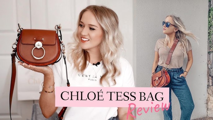 Chloé Mini Tess Day Bag Review - Pros & Cons | What'S In My Bag - Youtube