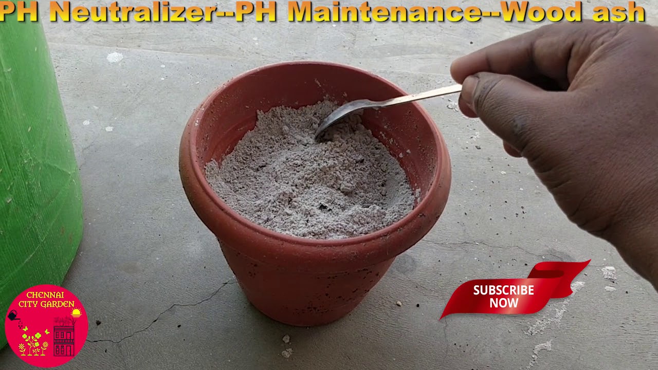 PH NeutralizerPH MaintenanceWood ash YouTube