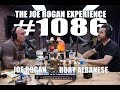 Joe Rogan Experience #1086 - Rory Albanese