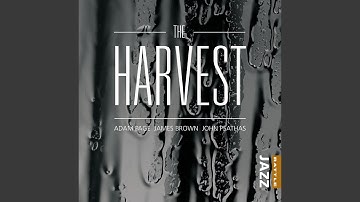 Like Picking Fruit, Pt. 8. Roots