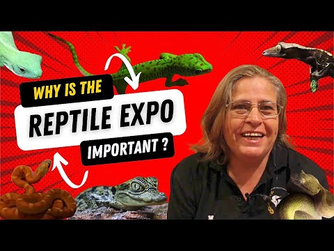 Why is the reptile expo so important?