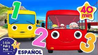 Aprende a contar los autobuses | Caricaturas de autobuses | Canciones infantiles | LBB Español