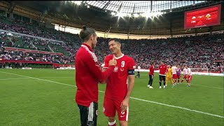 Neil Taylor reacts to Wales' 2-1 defeat to Poland