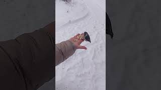 Бердские скалы