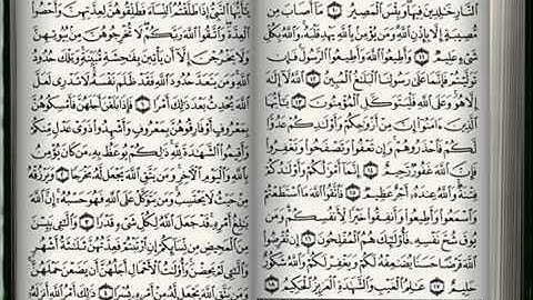 سورة التغابن -  القارئ ناصر القطامي