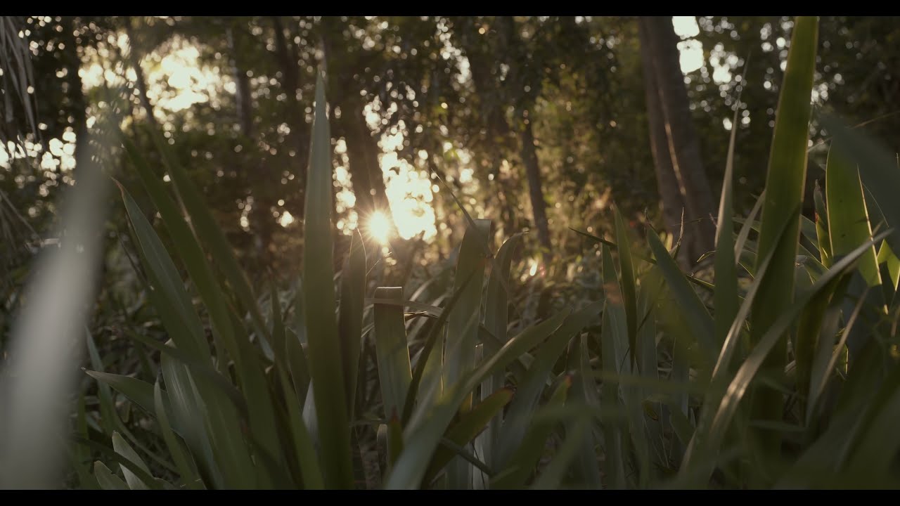 Canon R3  Raw Video Test DCI 4K.