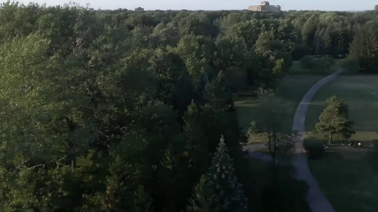 Dji tello max altitude