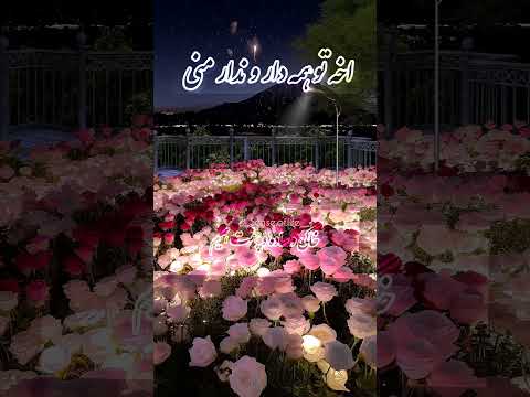 آهنگ تو شدی مثل خون تو رگام با صدای هایده هوش مصنوعی