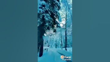 تلاوة جميله جداً تقشعر لها الأبدان