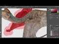 Beginning of video