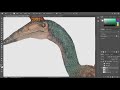 Middle of video