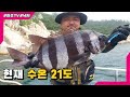 ★지금 현재 수온 21도★기온 30도!!머리가 벗겨지더라도 여서도 돌돔낚시♥rock bream Fishing(イシダイ)