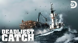 Celebrity Most Intense Moments Mega-Marathon 🌊 | Deadliest Catch | Discovery Update On 31/01/2026 Profile