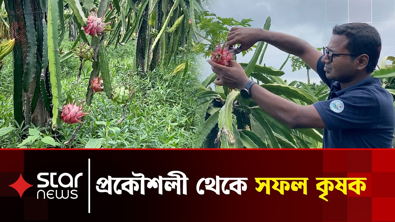 চাকরি হারিয়ে কোটি টাকার বাগান মালিক | Successful Agri Entrepreneur | Star News