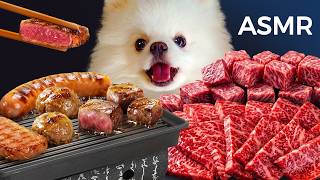 ASMR Mukbang | Yue the Pomeranian Eating Korean BBQ Steak, Sausage & Spam