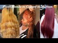 From BLONDE to ORANGE TO MAROON RED , Using INFLUANCE Semi Permanent Haircolor