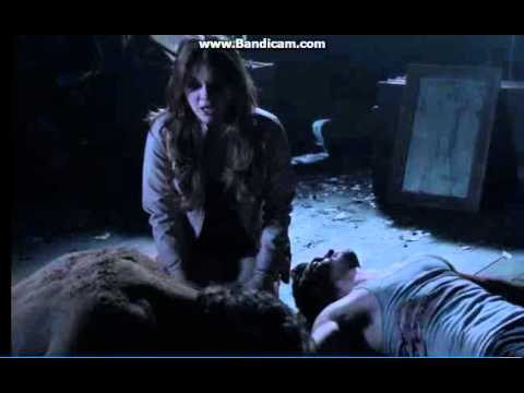 Peter Hale - რა მამკლავდა