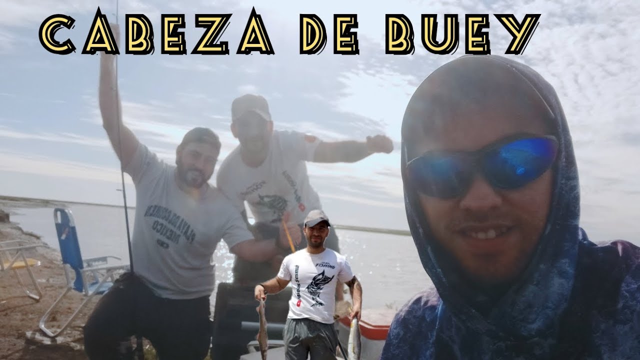 PESCA VARIADA EN CABEZA DE BUEY // Despedimos el año a pleno con @matipesca-matiassesma
