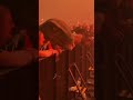 How long has he been standing there?🦖#electronicmusic #newmusic #festival #dino 📹 :boris.kuryakin7