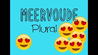 Meervoude (Plural)| Afrikaans FAL