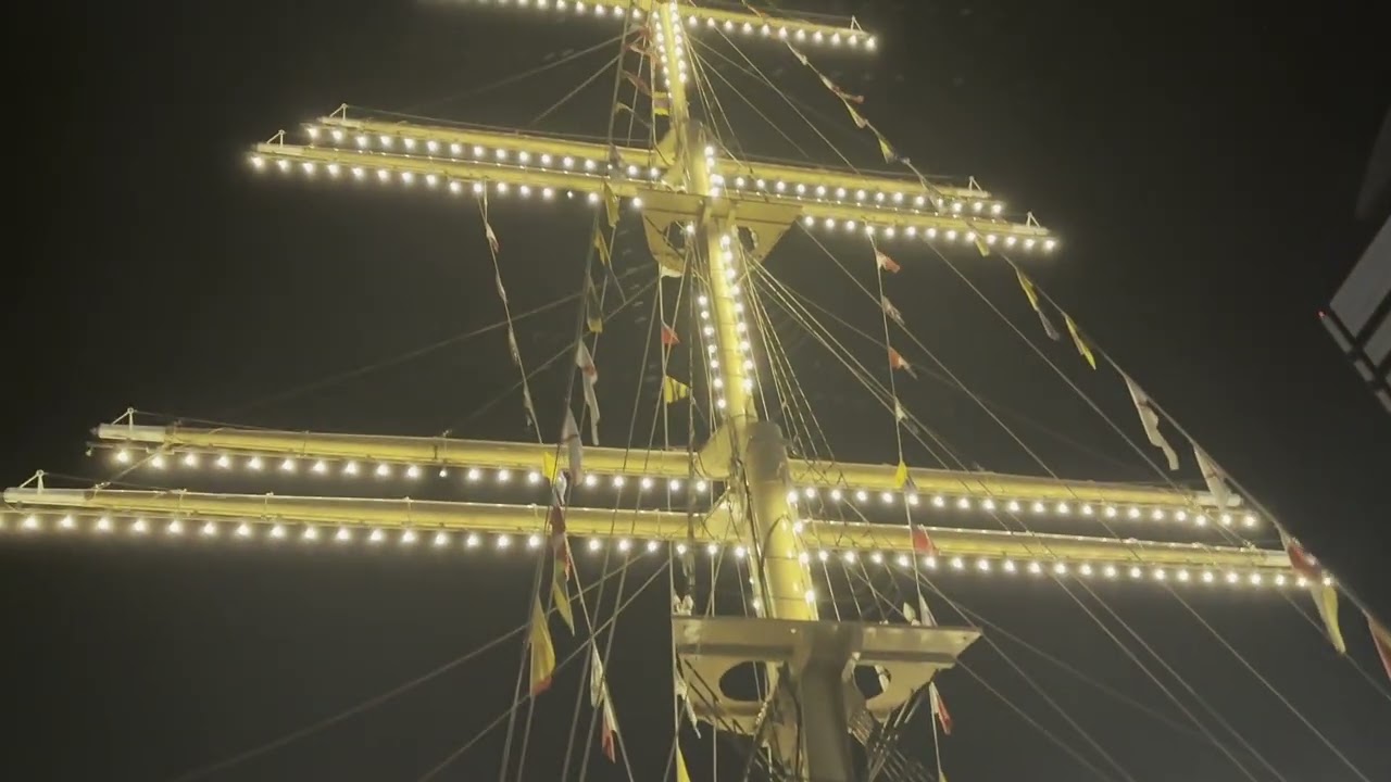 Takeshiba Passenger Ship Terminal at night (夜の「竹芝客船ターミナル」)
