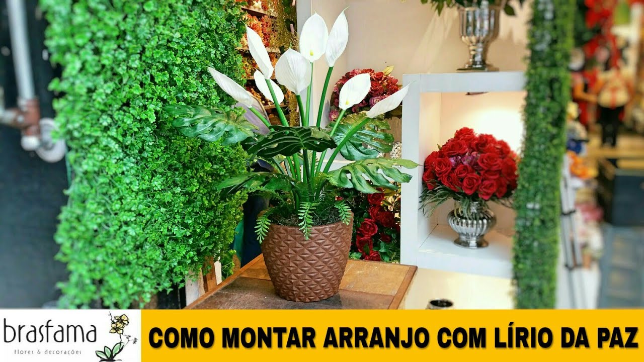 COMO MONTAR ARRANJO COM LÍRIO DA PAZ| Inscreva-se no canal e compartilhe...