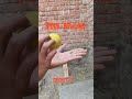 #cricket FF 65 #cricket #viral#nakal#tring #short#vidio 🏏🏏🏏