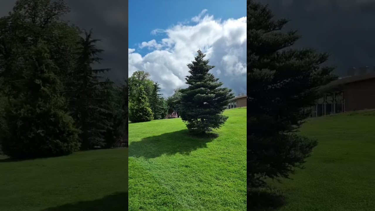 City of Borås sweden 🇸🇪