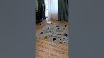 Голосовое управление пылесосом Roborock с помощью Алисы от Яндекса. Voice control of the Roborock.