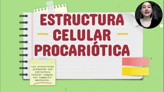 ULTRAESTRUCTURA DE LAS CÉLULAS PROCARIÓTICAS. FUNCIONES Y APRENDER A DIBUJARLA.
