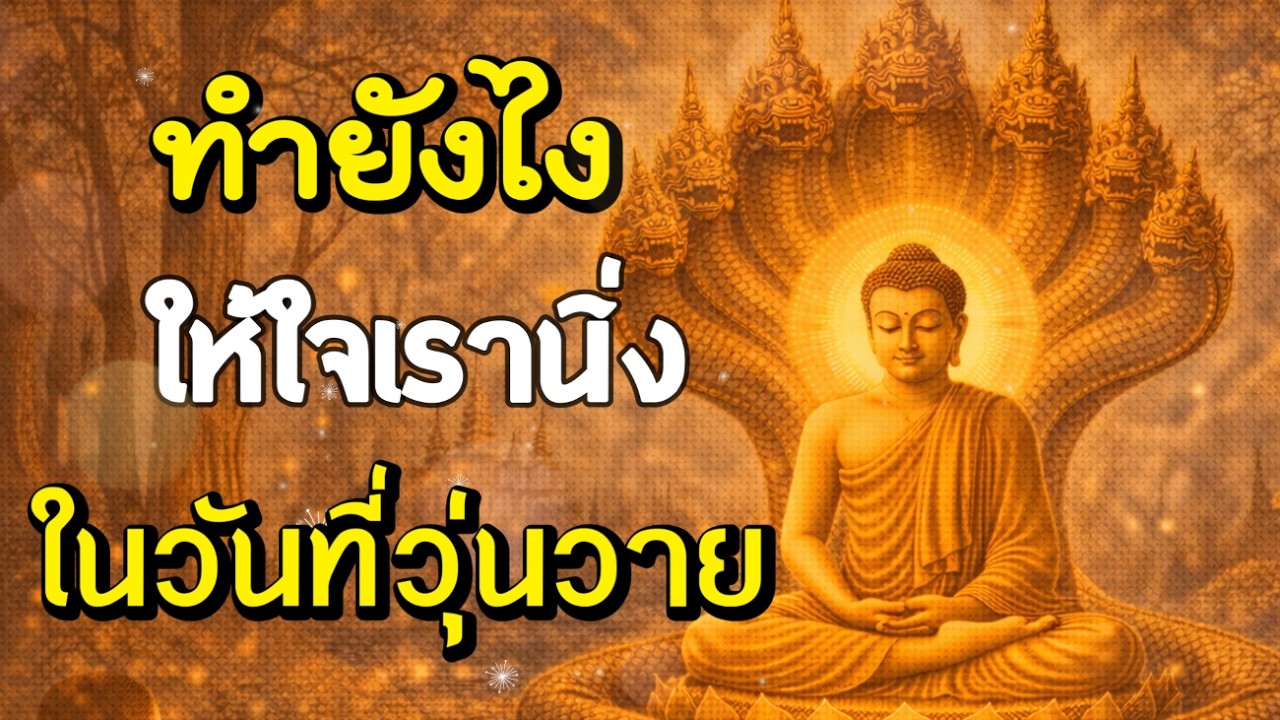 ฟังธรรมะสอนใจ : Ep286 | ทำยังไงให้ใจเรานิ่งในวันที่วุ่นวาย