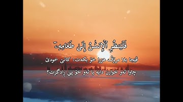 (سورة عبس) تلاوة هادئة تريح القلب والعقل